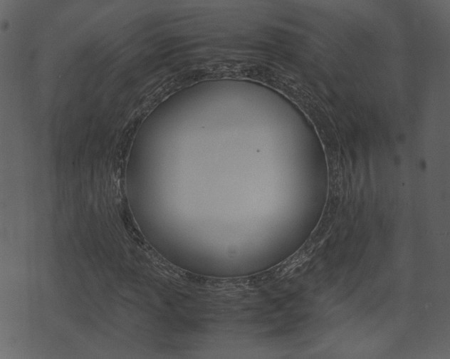 X0000074331013200608251015