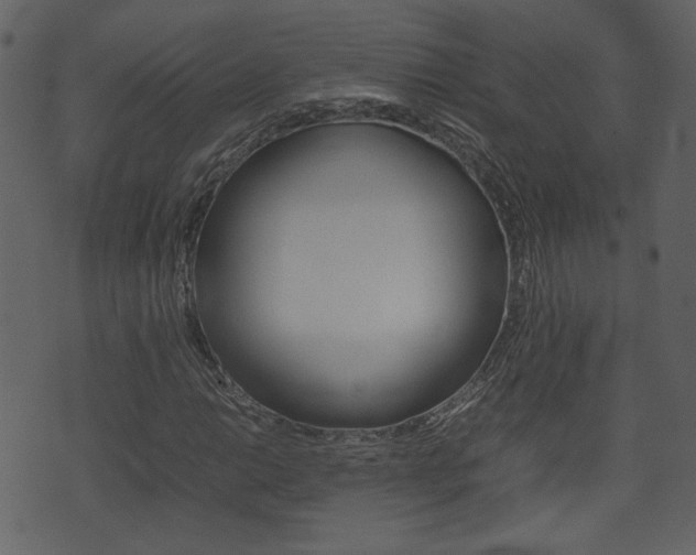 X0000074331014200608251015