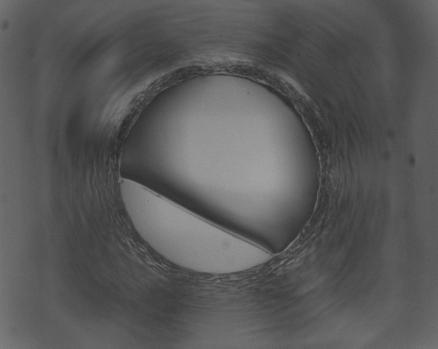 X0000074331016200608251015