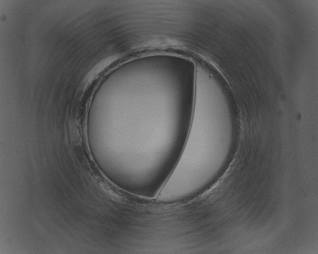 X0000074331018200608251015