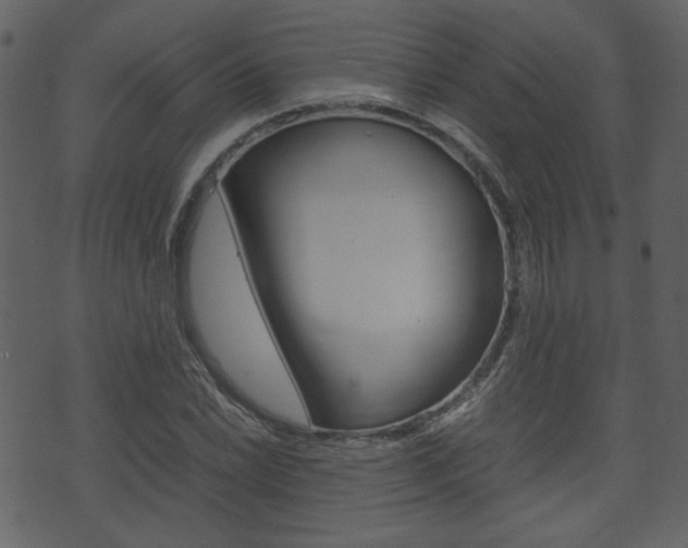X0000074331022200608251015