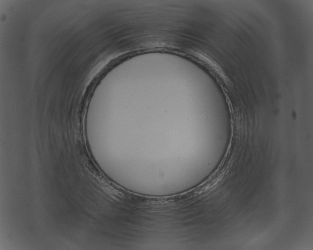 X0000074331023200608251015
