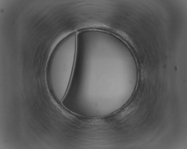 X0000074331024200608251015