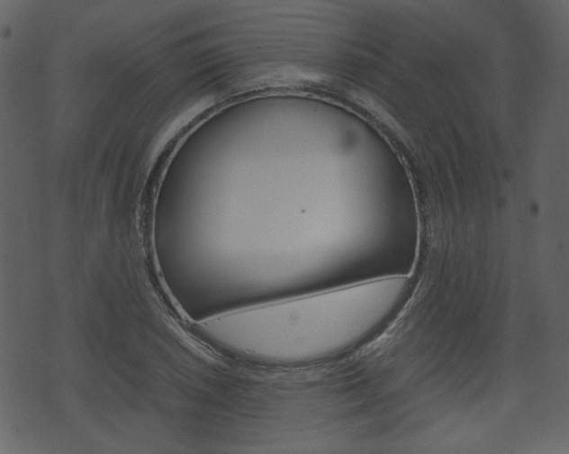 X0000074331026200608251015