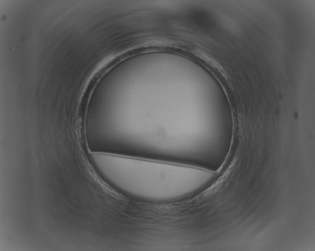 X0000074331029200608251015