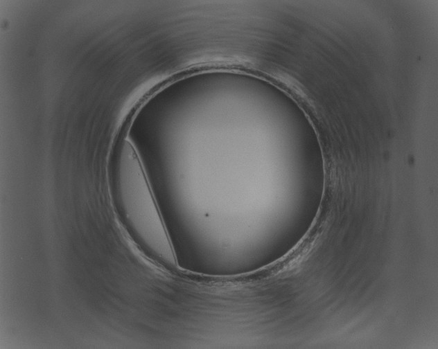X0000074331030200608251015