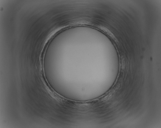 X0000074331031200608251015