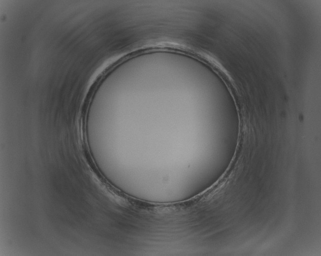 X0000074331032200608251015