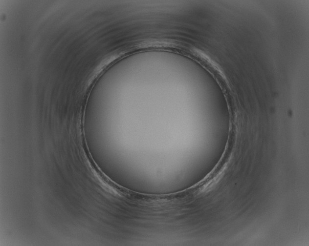 X0000074331033200608251015