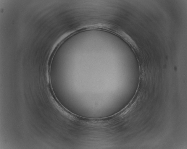X0000074331036200608251015