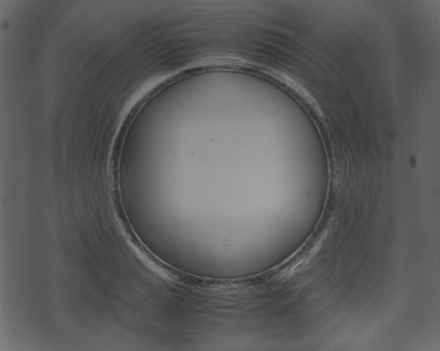 X0000074331037200608251015