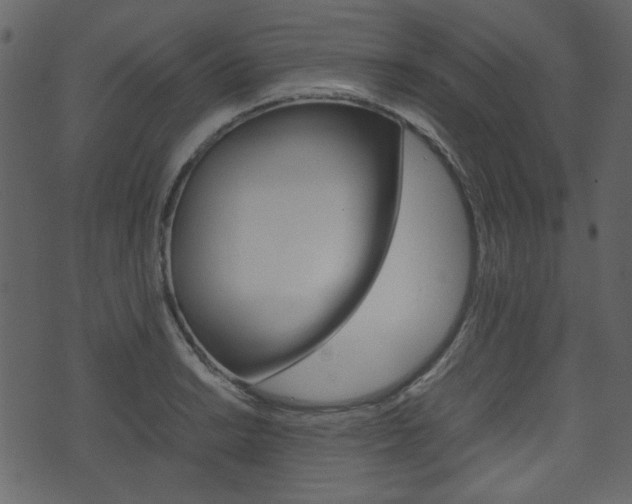 X0000074331038200608251015