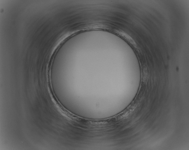 X0000074331039200608251015