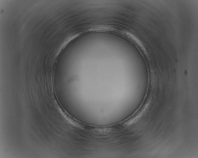 X0000074331041200608251015