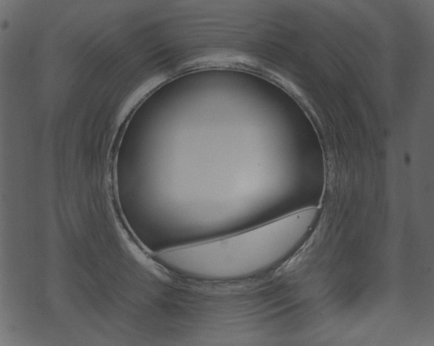 X0000074331042200608251015