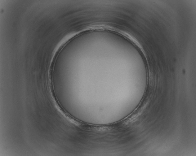 X0000074331045200608251015