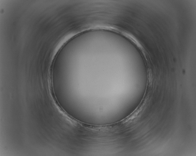 X0000074331048200608251015