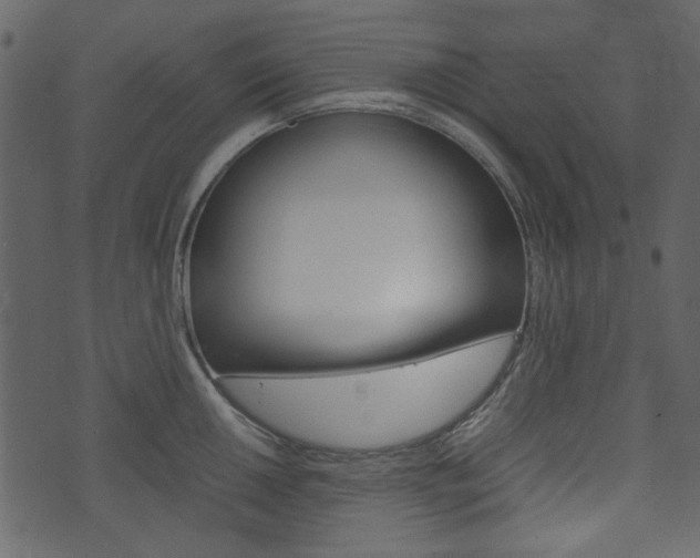X0000074331050200608251015