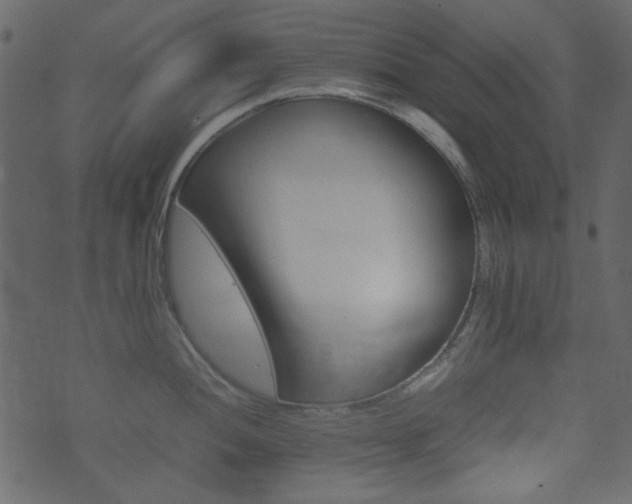 X0000074331052200608251015