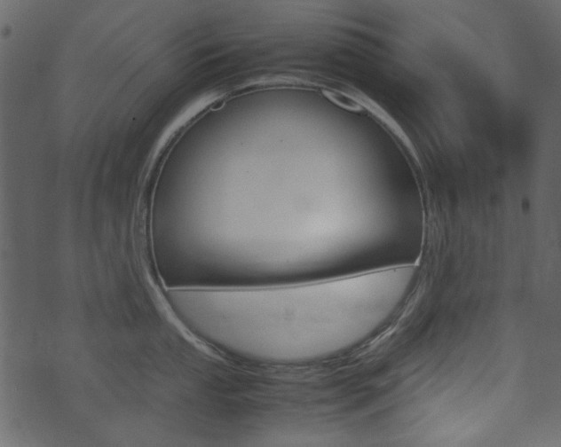 X0000074331053200608251015