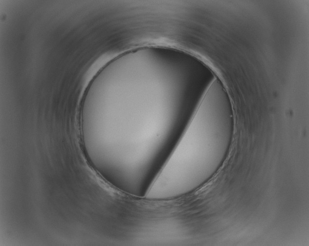 X0000074331056200608251015