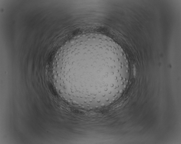 X0000074331059200608251014
