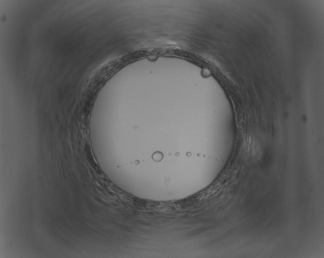 X0000074331063200608251014
