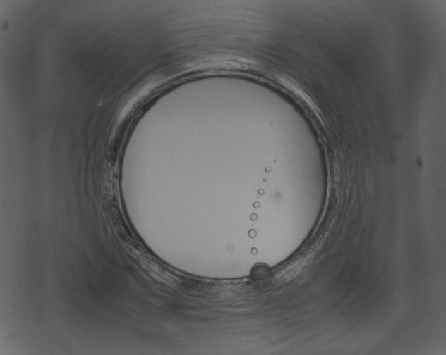 X0000074331067200608251014
