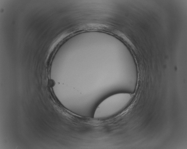 X0000074331075200608251014