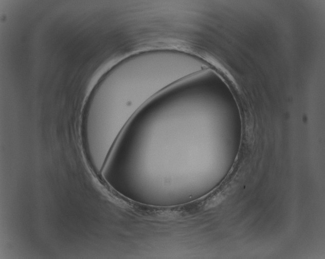 X0000074331085200608251014