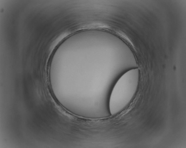 X0000074331087200608251014