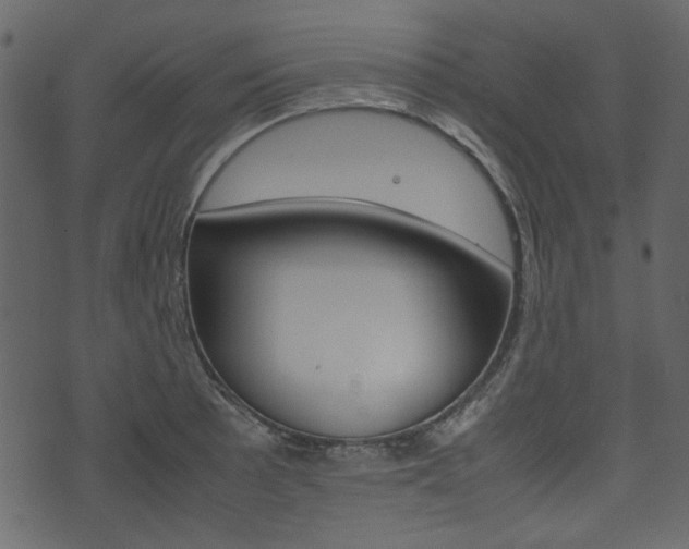 X0000074331089200608251014