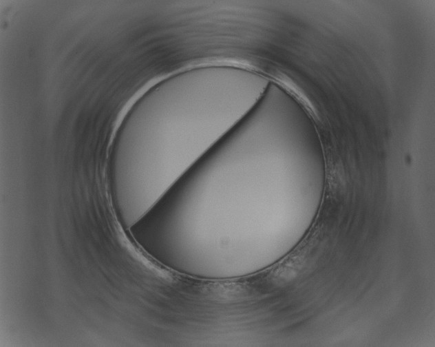 X0000074331092200608251014