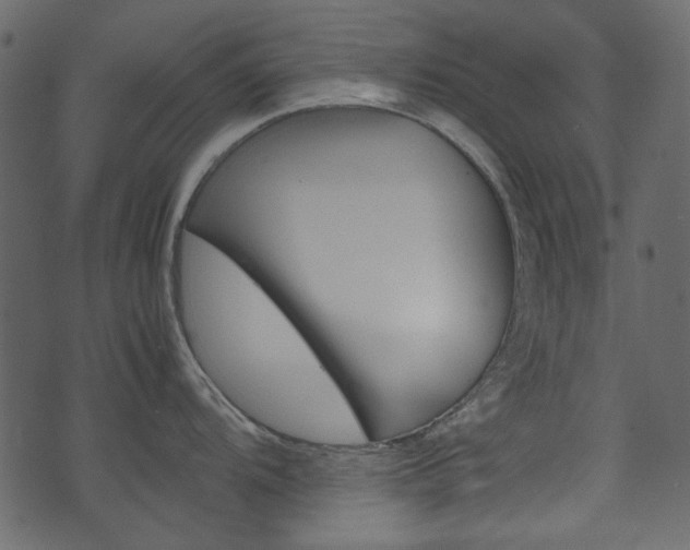 X0000074331104200608251014