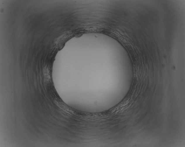X0000074331106200608251013