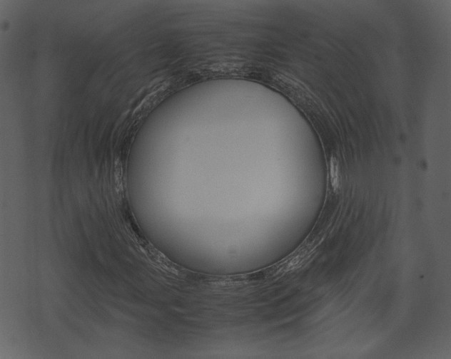 X0000074331107200608251013