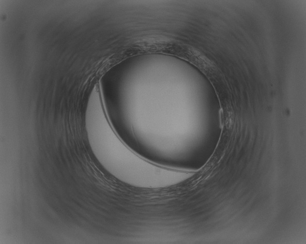 X0000074331108200608251013