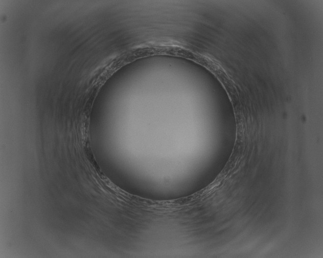 X0000074331110200608251013