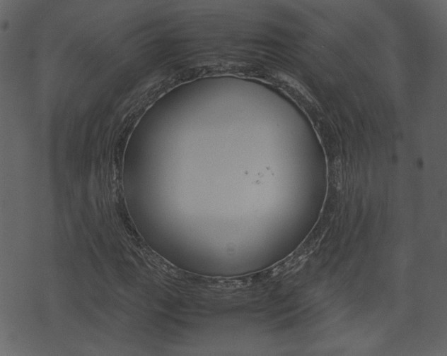 X0000074331111200608251013