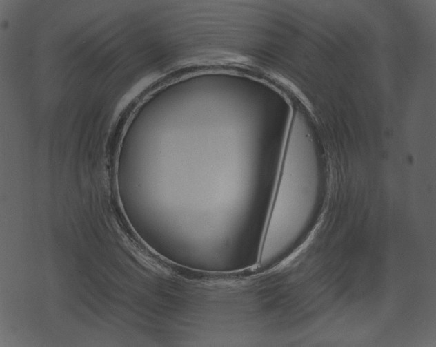 X0000074331114200608251013