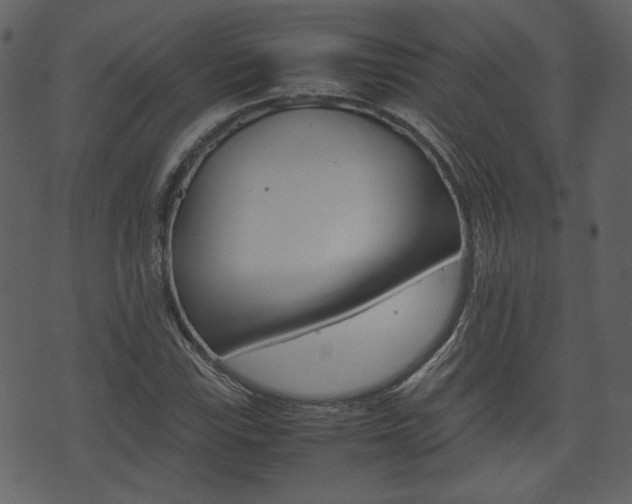 X0000074331115200608251013
