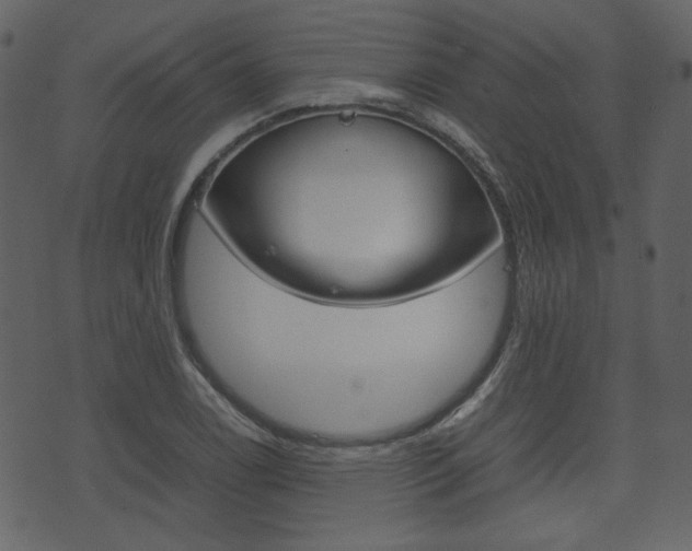 X0000074331122200608251013