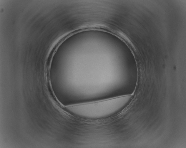 X0000074331124200608251013