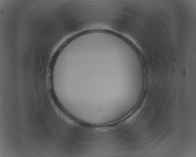 X0000074331126200608251013