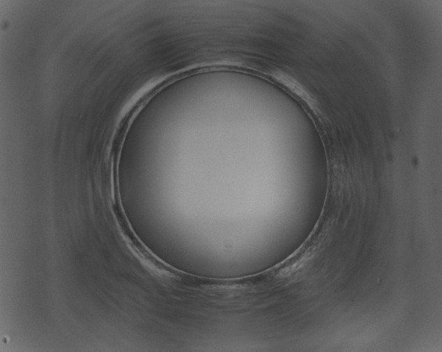 X0000074331127200608251013