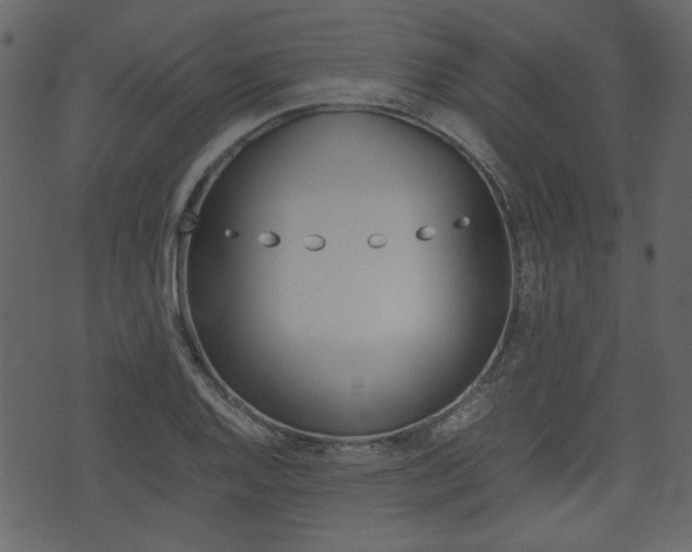 X0000074331128200608251013