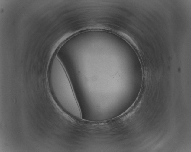 X0000074331133200608251013