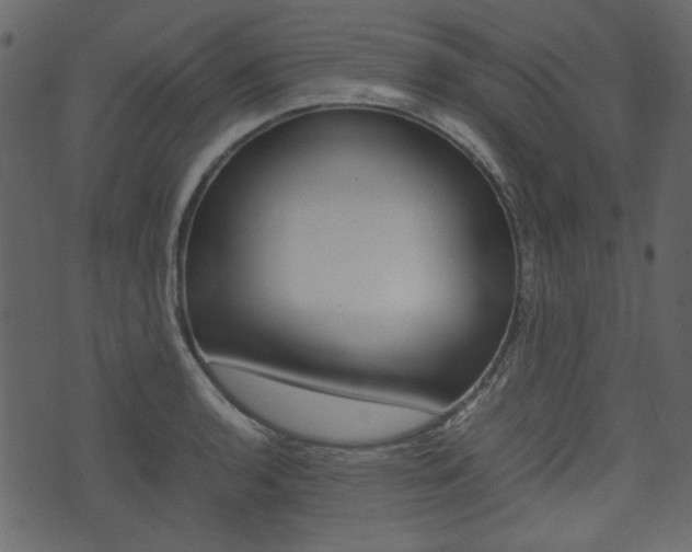 X0000074331136200608251013