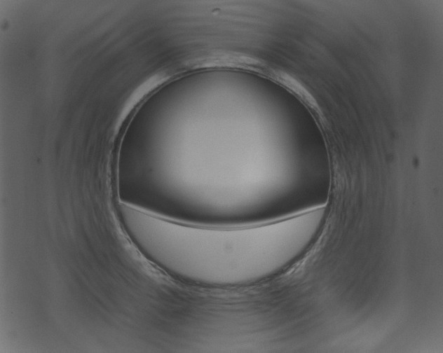 X0000074331138200608251014