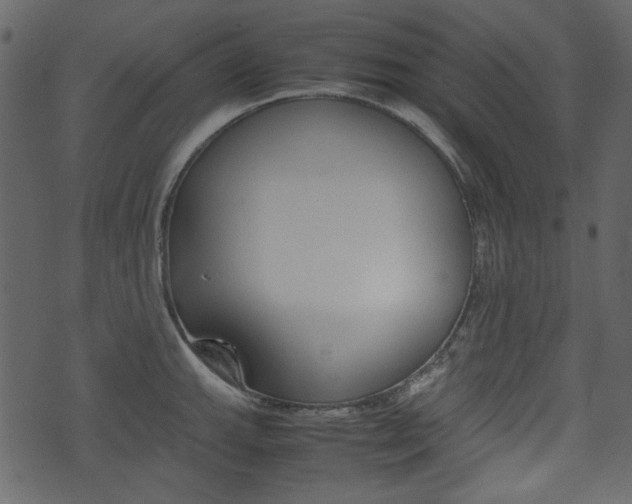X0000074331143200608251014